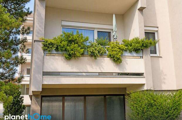 Terrassenwohnung kaufen in 7000 Eisenstadt (Bild 1)