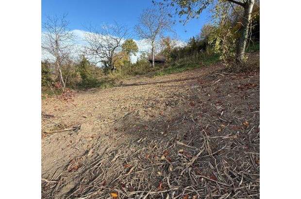 Grundstück kaufen in 3433 Königstetten (Bild 1)