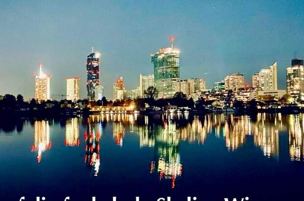 Wohnung mit Balkon mieten in 1220 Wien (Bild 5)