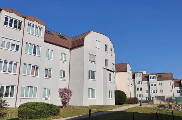 Mietwohnung in 3500 Krems (Bild 2)