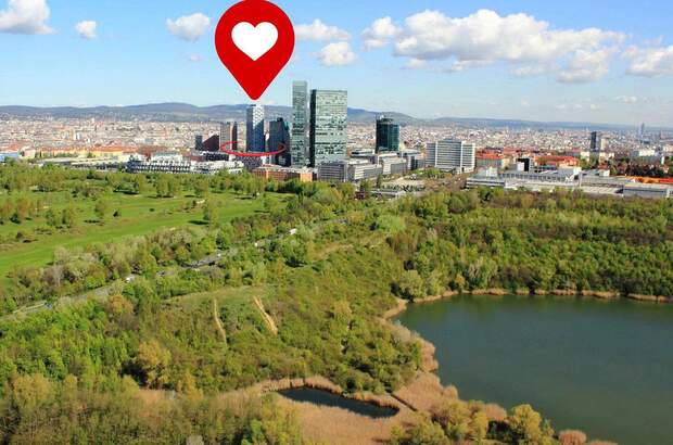 Terrassenwohnung kaufen in 1100 Wien (Bild 1)