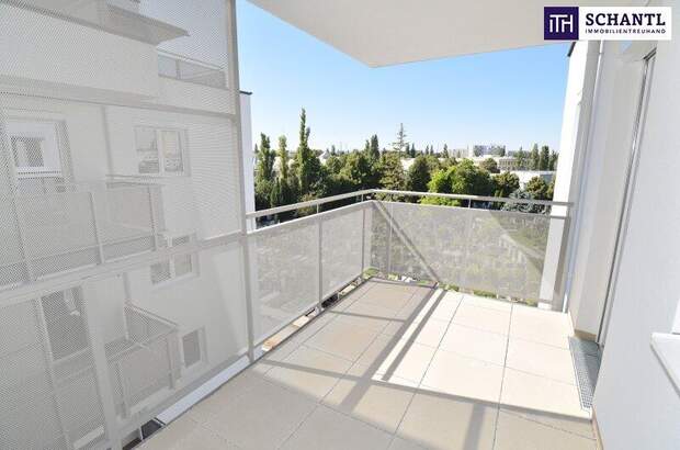 Terrassenwohnung mieten in 2320 Schwechat (Bild 4)