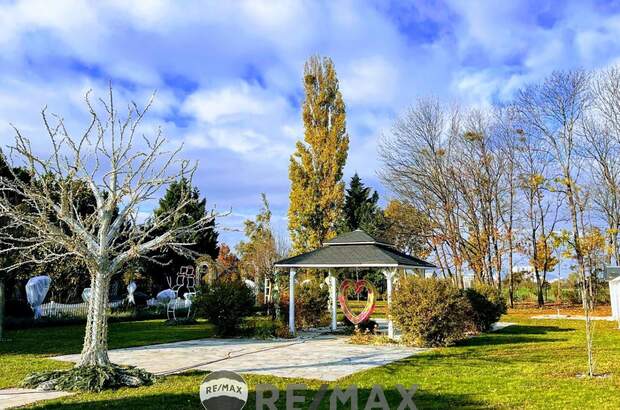 Terrassenwohnung kaufen in 1220 Wien (Bild 1)