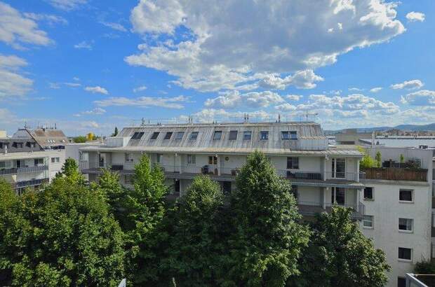 Terrassenwohnung kaufen in 1230 Wien (Bild 3)