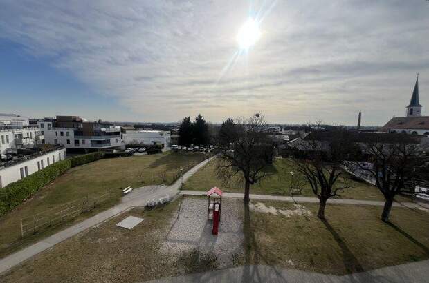 Büro / Praxis mieten in 2353 Guntramsdorf (Bild 1)