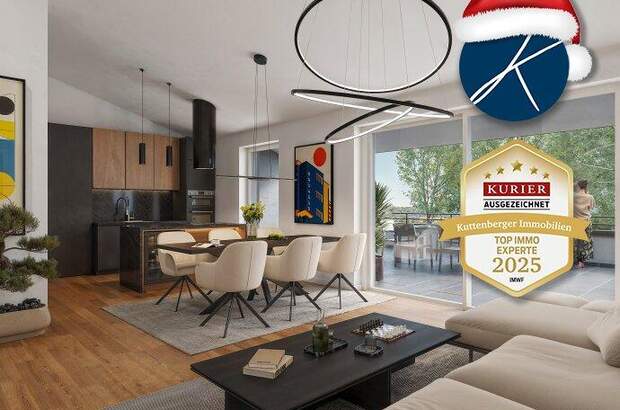 Terrassenwohnung kaufen in 3500 Krems (Bild 2)