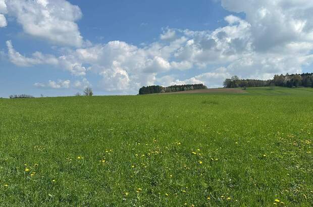 Grundstück kaufen in 5143 Feldkirchen (Bild 1)