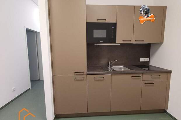 Gewerbeobjekt mieten in 1220 Wien 22. (Bild 3)