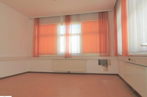 Gewerbeobjekt mieten in 2020 Hollabrunn (Bild 5)