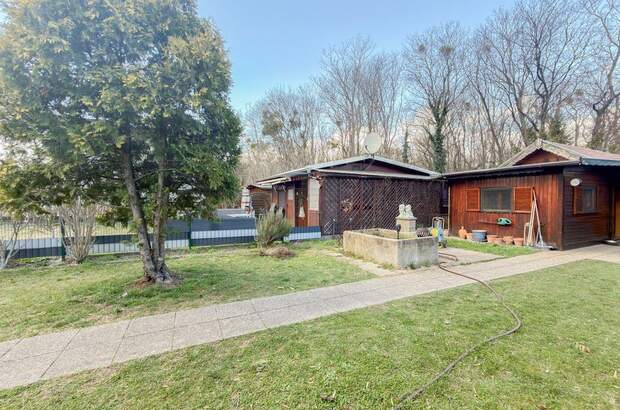 Haus mit Garten mieten in 1020 Wien (Bild 2)