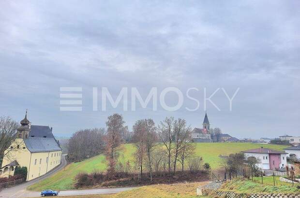 Grundstück kaufen in 4622 Eggendorf (Bild 3)