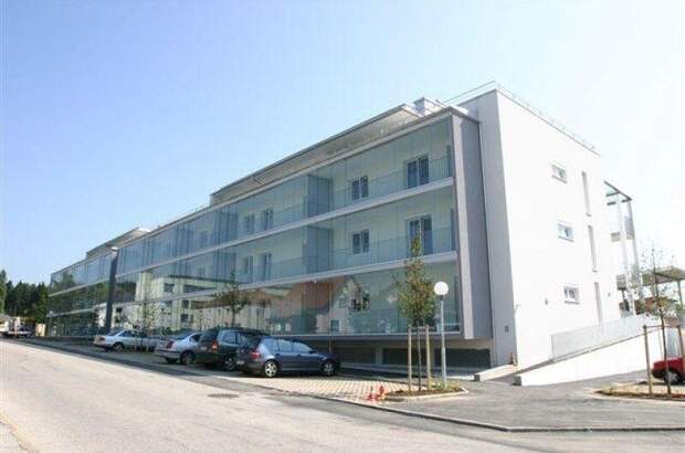 Terrassenwohnung mieten in 4225 Luftenberg (Bild 3)