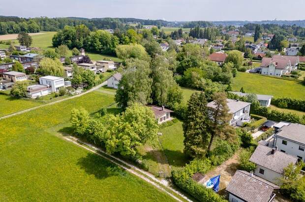 Grundstück kaufen in 4863 Buchberg (Bild 2)