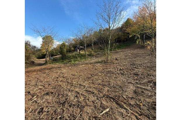 Grundstück kaufen in 3433 Königstetten (Bild 5)