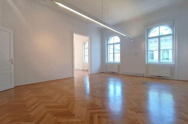 Gewerbeobjekt mieten in 1010 Wien (Bild 5)