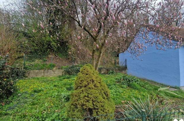 Haus kaufen in 3463 Stetteldorf (Bild 3)