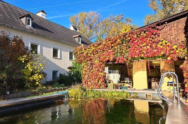 Haus mit Garten kaufen in 2512 Tribuswinkel (Bild 2)