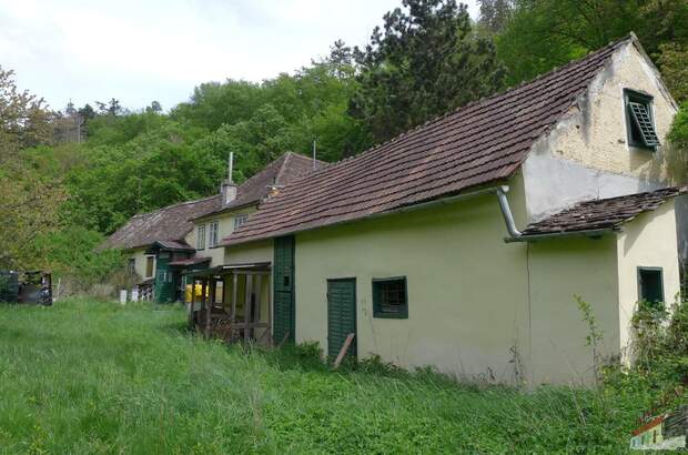 Grundstück kaufen in 3580 Mödring (Bild 4)