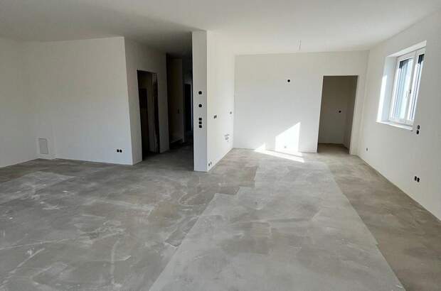 Haus mit Garten kaufen in 4523 Neuzeug (Bild 5)
