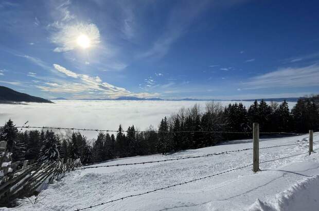Grundstück kaufen in 9431 Wolfsberg (Bild 5)