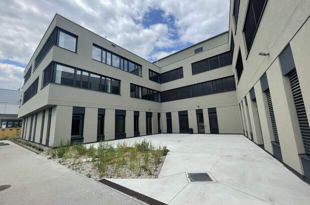 Gewerbeobjekt mieten in 1220 Wien (Bild 5)