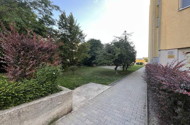 Terrassenwohnung kaufen in 1220 Wien (Bild 2)