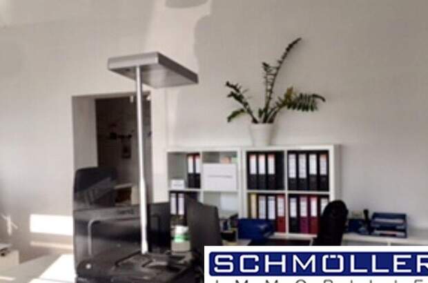 Gewerbeobjekt mieten in 4600 Thalheim (Bild 4)