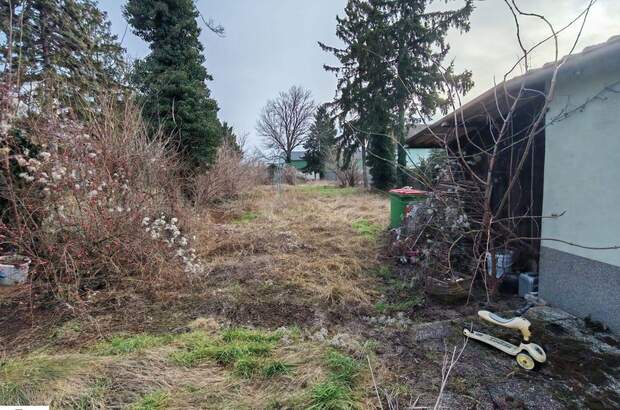 Haus kaufen in 2292 Engelhartstetten (Bild 3)