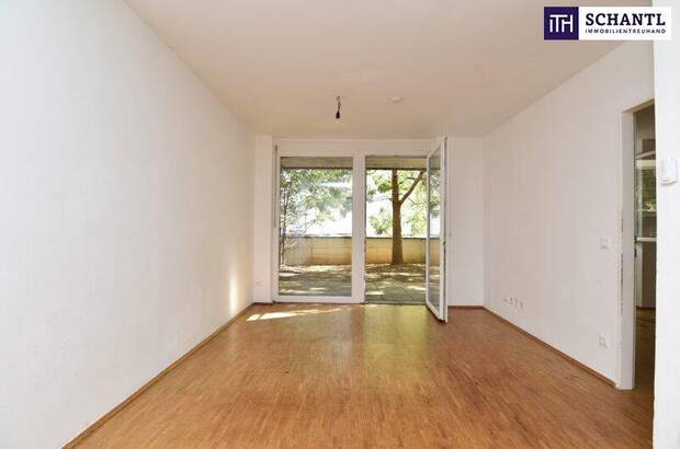 Terrassenwohnung mieten in 8020 Graz (Bild 1)