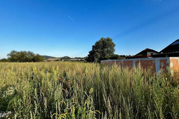Grundstück kaufen in 4225 Luftenberg (Bild 5)