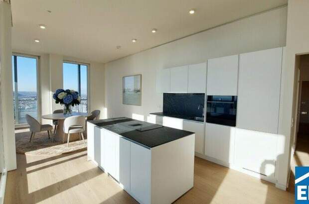 Terrassenwohnung mieten in 1220 Wien (Bild 2)