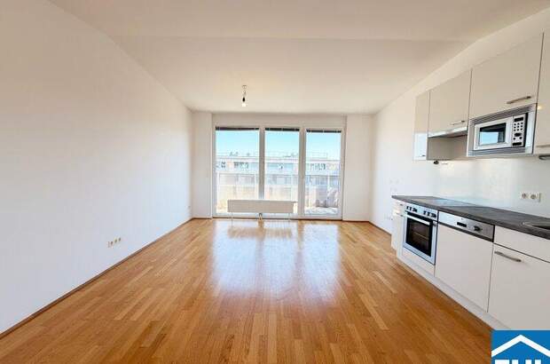 Terrassenwohnung mieten in 1030 Wien (Bild 2)