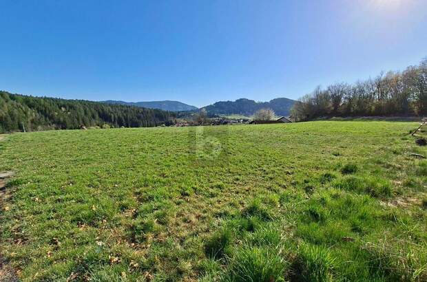 Grundstück kaufen in 9560 Feldkirchen (Bild 2)