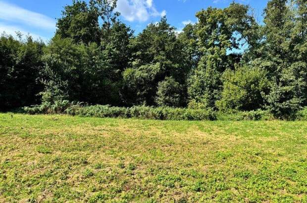 Grundstück kaufen in 4770 Andorf (Bild 2)