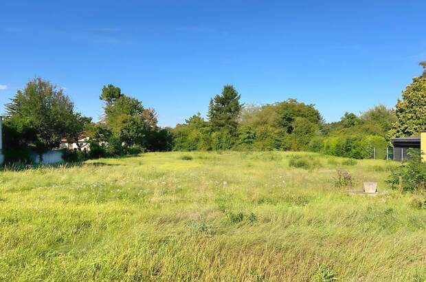 Grundstück kaufen in 3424 Wolfpassing (Bild 1)