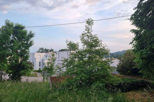Grundstück kaufen in 4040 Linz (Bild 4)