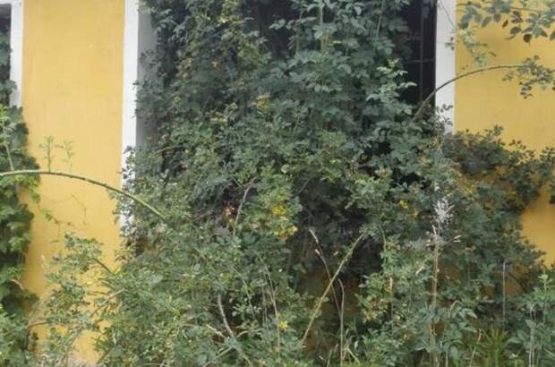 Gewerbeobjekt kaufen in 9241 Jánossomorja (Bild 2)