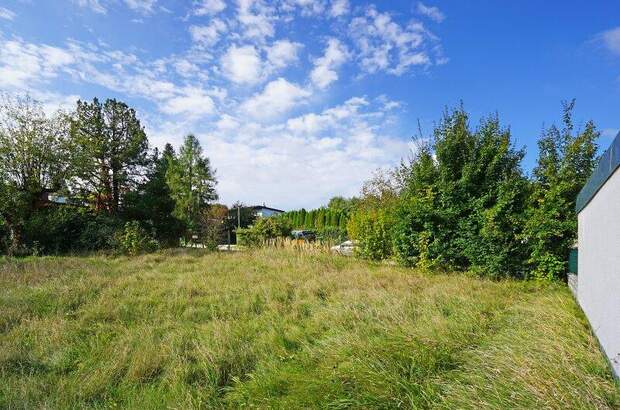 Grundstück kaufen in 3012 Wolfsgraben (Bild 4)