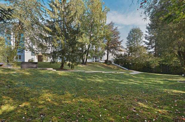 Terrassenwohnung kaufen in 1190 Wien (Bild 5)