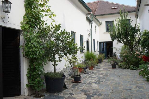 Haus mit Garten kaufen in 3500 Krems