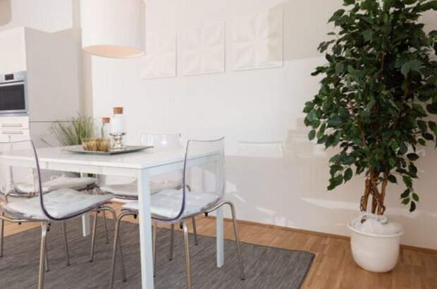 Wohnung mieten in 8042 Graz (Bild 4)