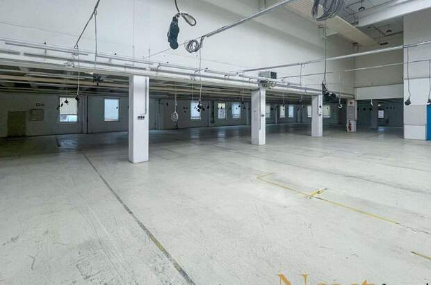 Gewerbeobjekt mieten in 4052 Ansfelden (Bild 2)