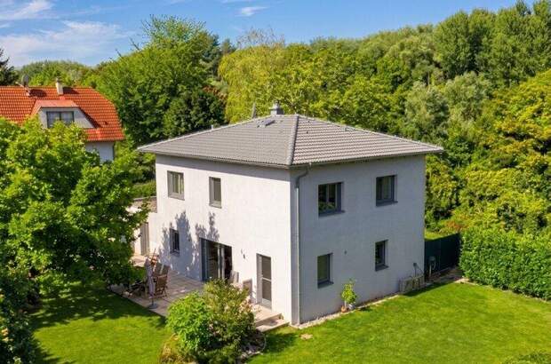 Haus kaufen in 3426 Muckendorf (Bild 1)