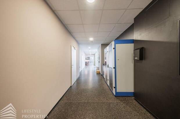 Gewerbeobjekt mieten in 2201 Gerasdorf (Bild 4)