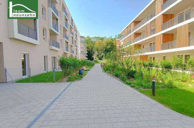 Terrassenwohnung mieten in 3100 St. Pölten (Bild 1)