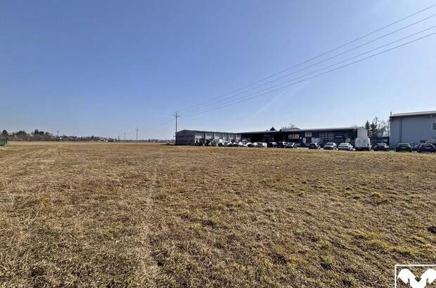 Gewerbeobjekt kaufen in 4614 Marchtrenk (Bild 2)