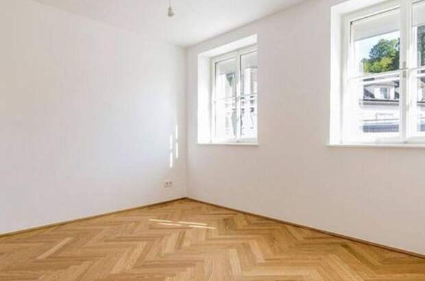 Gewerbeobjekt mieten in 1060 Wien (Bild 3)