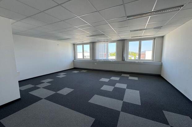 Gewerbeobjekt mieten in 4600 Thalheim (Bild 2)