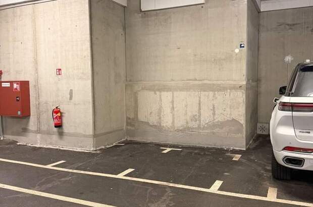 Halle / Lager / Produktion kaufen in 2320 Schwechat (Bild 5)