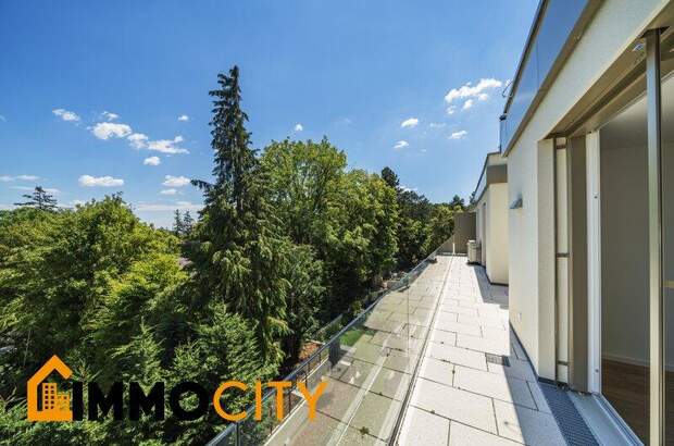 Terrassenwohnung mieten in 1130 Wien (Bild 3)